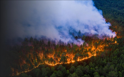 Пожар в кинозале: халатность и преступные инструкции превратили кинотеатр в ловушку